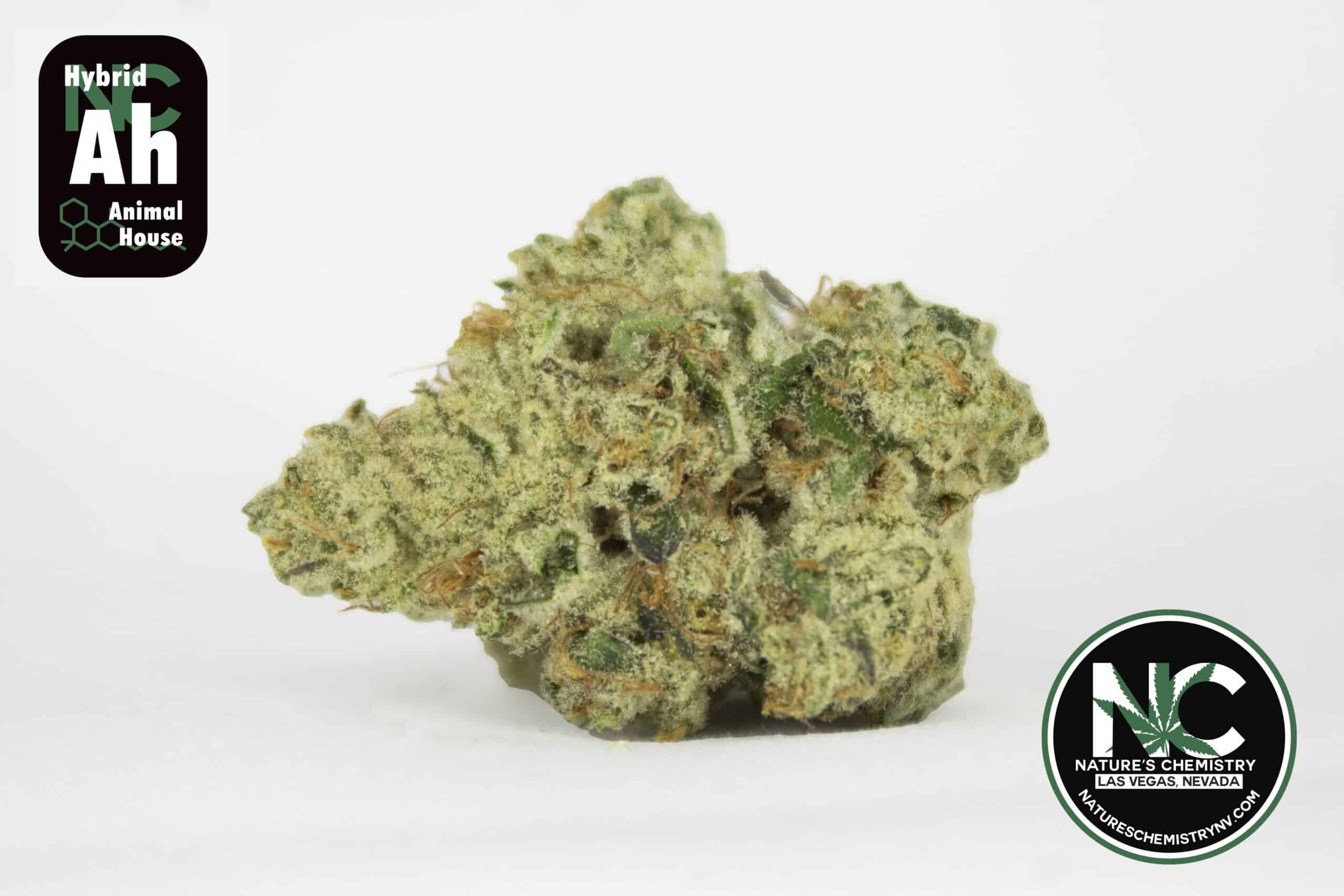 High Octane Strain  Sour and Pine Cannabis Indica
